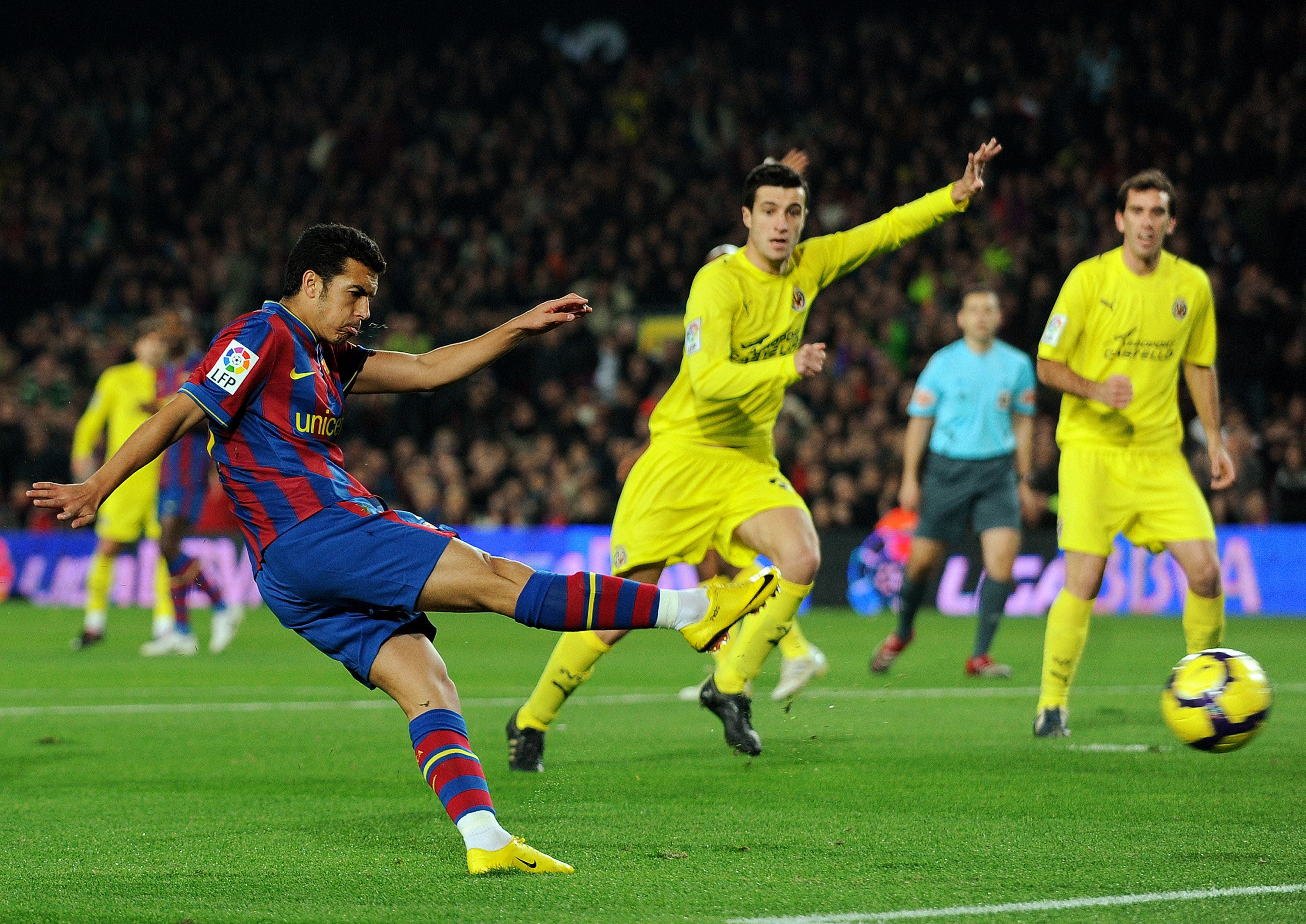 这句话在朱 这句话在朱