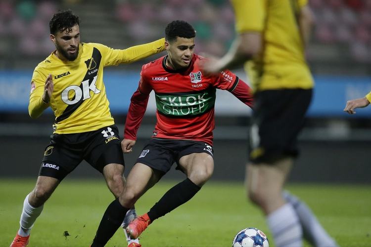 他都积极参 他都积极参