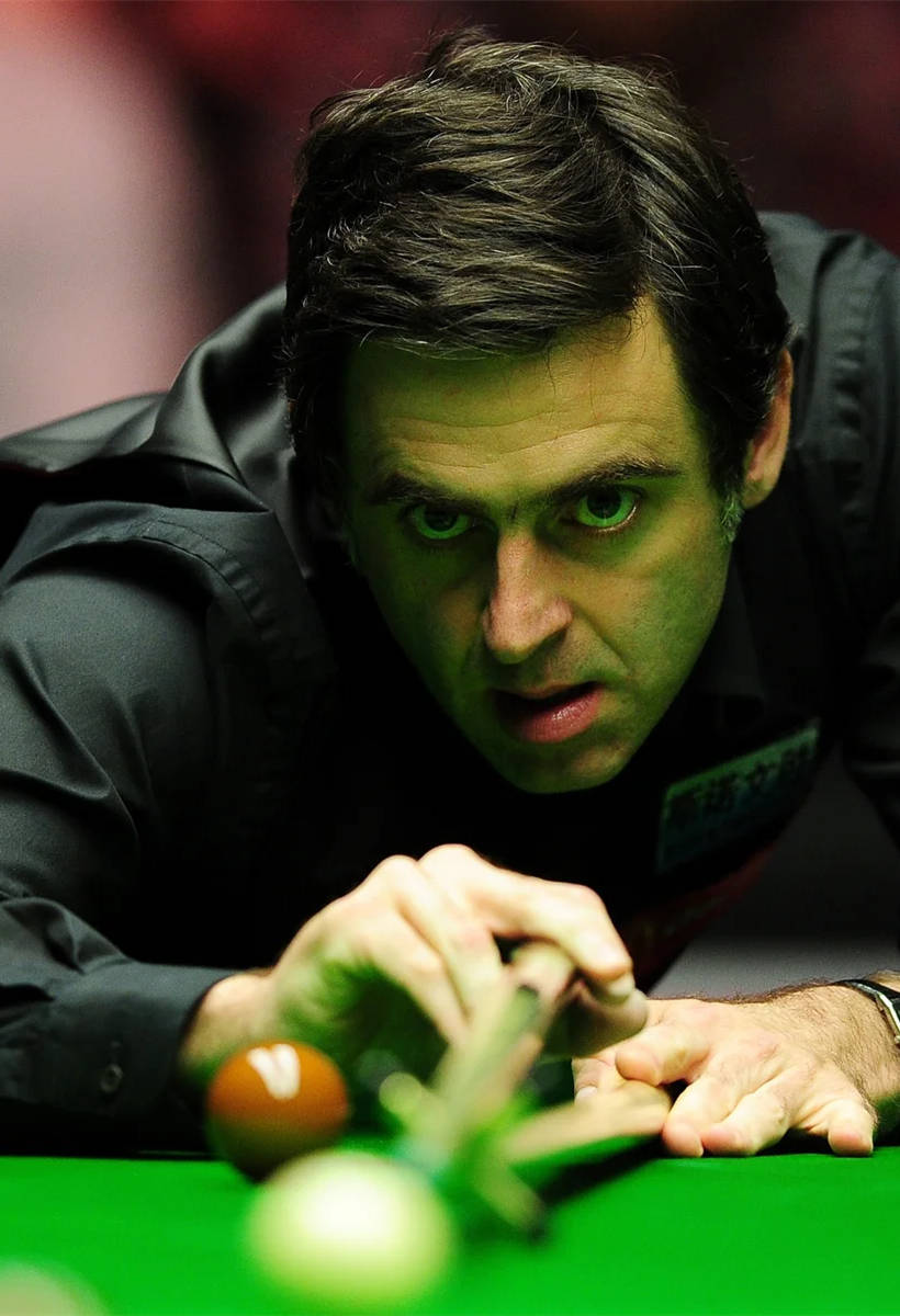 和金子豪来 和金子豪来